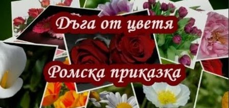 prikazka 1