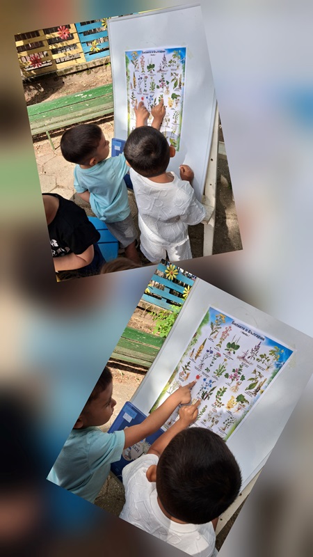 bilkite-