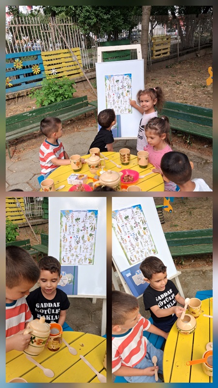 bilkite-
